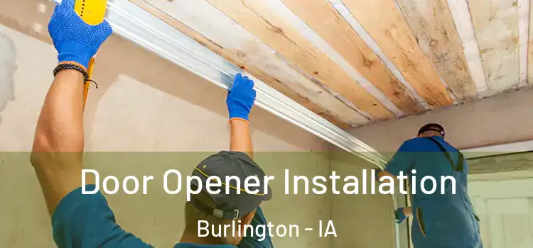  Door Opener Installation Burlington - IA