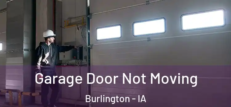  Garage Door Not Moving Burlington - IA
