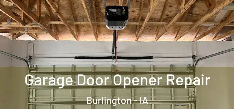  Garage Door Opener Repair Burlington - IA