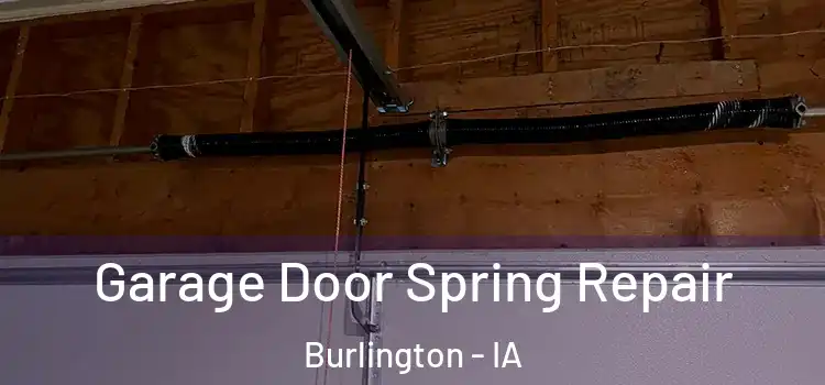  Garage Door Spring Repair Burlington - IA