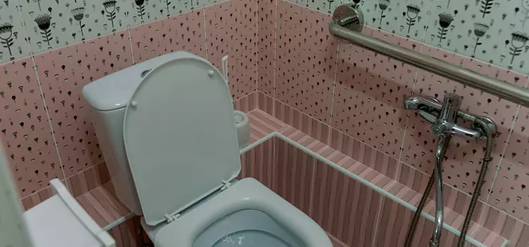 Meeting Diverse Needs With Accessible Restroom Solutions in Burlington, IA