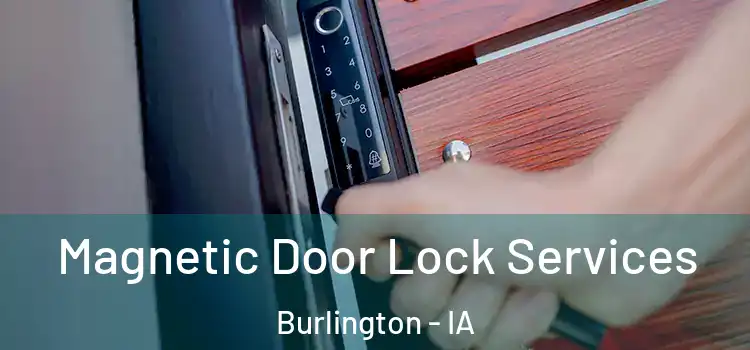  Magnetic Door Lock Services Burlington - IA